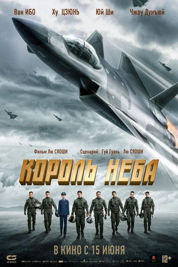 Король неба - постер фильма